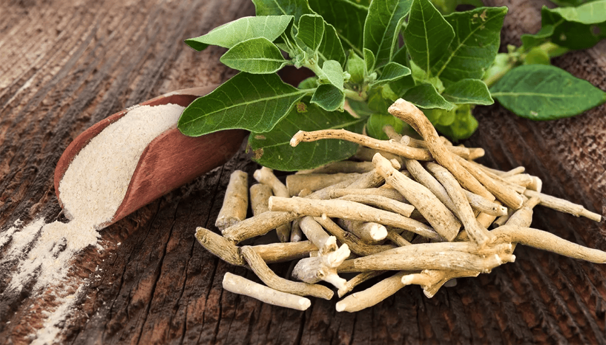 Ašvaganda (Ashwagandha) – 2
