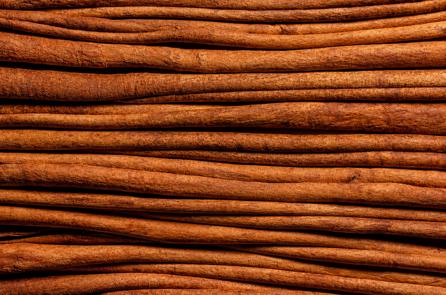 Cinamonas – 5